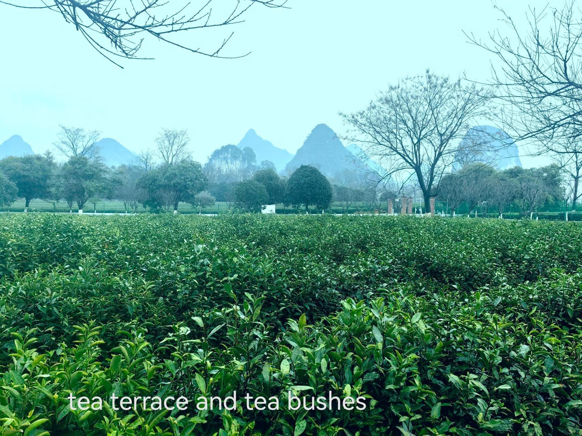 Guilin Village Creek Inn-Free Private Car Pick Up Station Stay 3 Nights Exterior foto